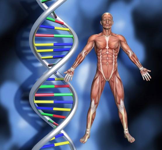 क्या हवा में भी जिंदा रह सकता है कोरोना वायरस? जानें जरूरी बातें