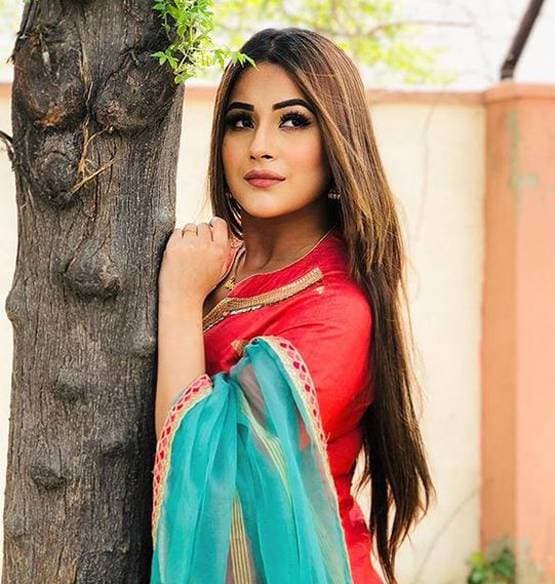 शहनाज पर भड़कीं रोडीज विनर, टीवी पर वर्जिनिटी पूछने पर उठाए सवाल