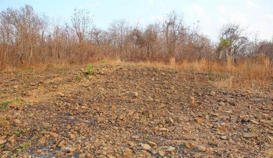 क्या कोरोना वायरस के जरिए अपना बदला ले रही है प्रकृति?