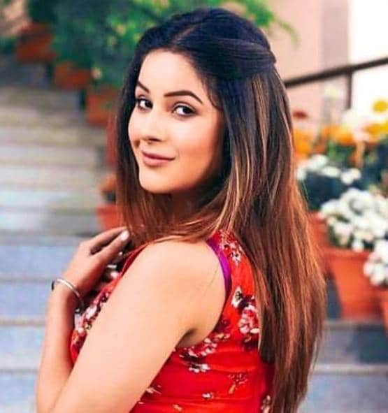 भाई-बहन में तू तू-मैं मैं, शहबाज ने दी गाली तो फूट-फूटकर रोईं शहनाज