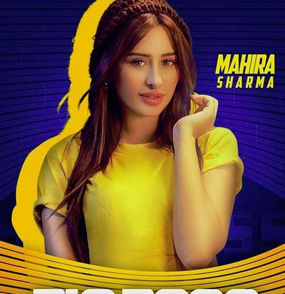 बिग बॉस 13 खत्म होने के बाद कहां बिजी हैं स्टार्स? पढ़ें अपडेट्स