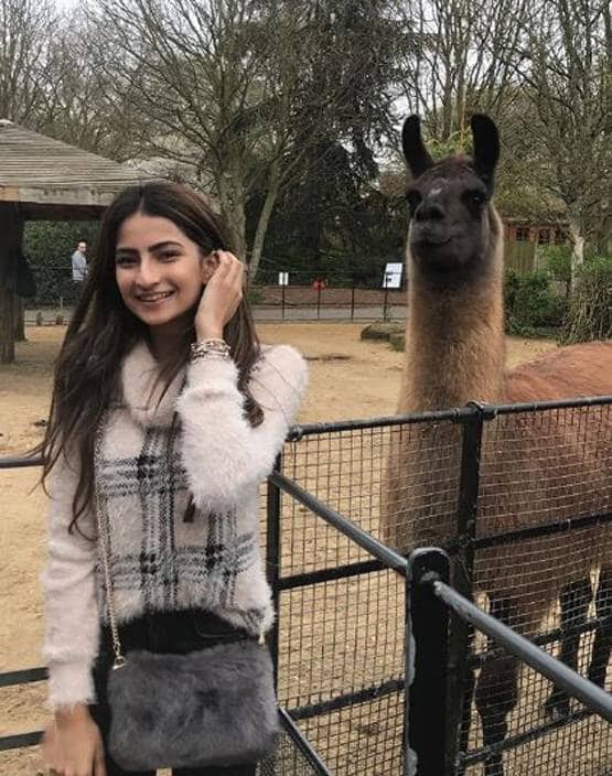 कियारा के बाद पलक ने भी कराया फोटोशूट, तस्वीरें वायरल