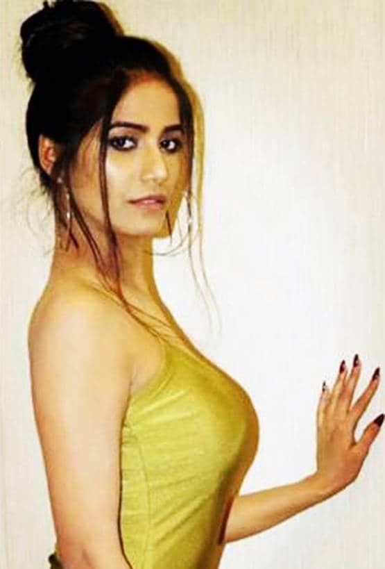 जब वर्ल्ड कप के लिए पूनम पांडे ने उतारे थे कपड़े, बोल्ड फोटोज हुईं वायरल