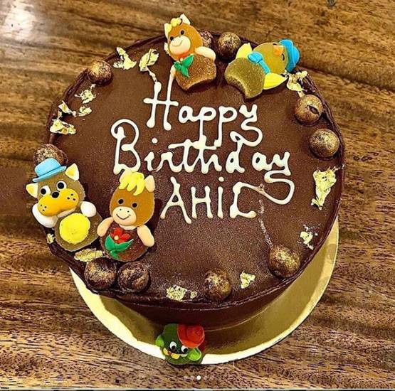 लॉकडाउन के बीच मामू सलमान खान ने मनाया भांजे अहिल का जन्मदिन, PHOTOS