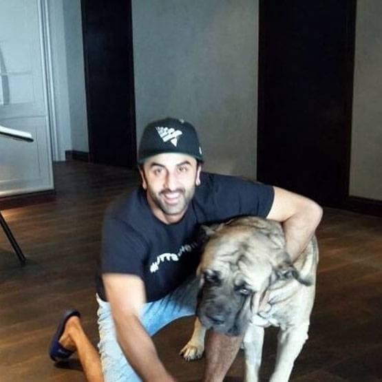 लॉकडाउन में साथ रह रहे हैं लवबर्ड्स रणबीर-आलिया, बिल्ली ने खोल दी पोल