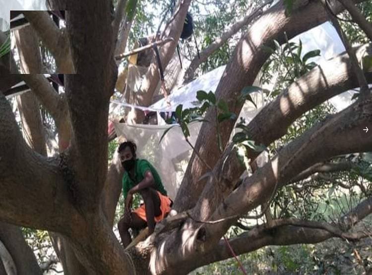 कोरोना के डर से गांव में एंट्री पर रोक, पेड़ पर क्वारंटाइन कर रहे 7 युवक