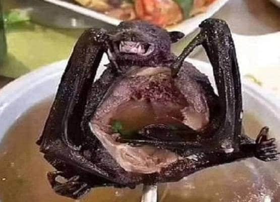 दस देशों में चल रहे हैं कोरोना जैसे वायरस फैलाने वाले वेट मार्केट