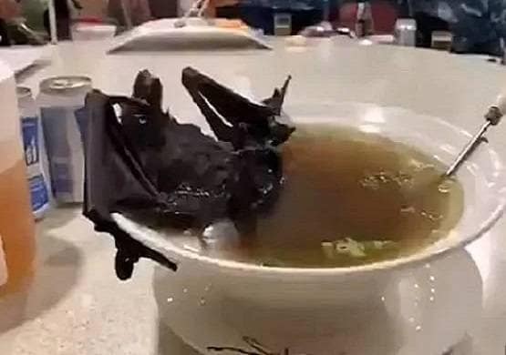 दस देशों में चल रहे हैं कोरोना जैसे वायरस फैलाने वाले वेट मार्केट