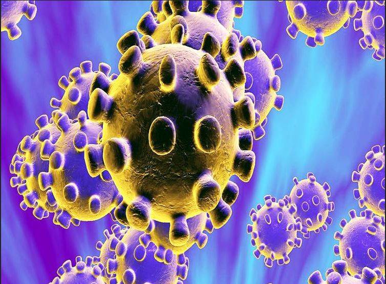 इबोला, जीका या कोरोना, ऐसी महामारी से गरीब देश हो जाता है कंगाल!