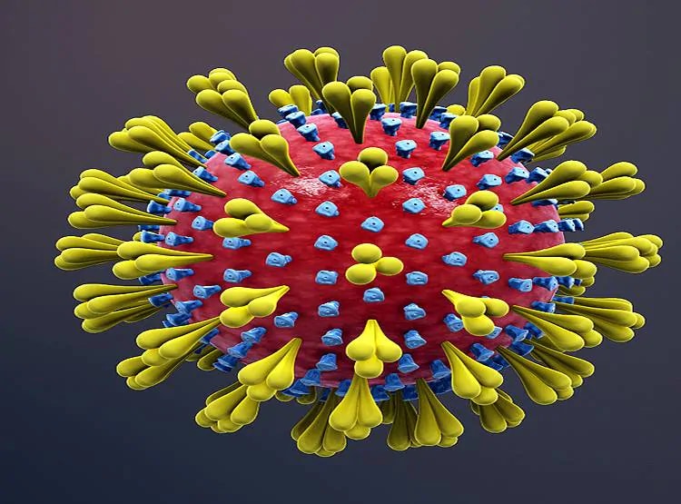 कोरोना वायरस को लेकर क्या भारत भी US की तरह कर रहा बड़ी गलती?