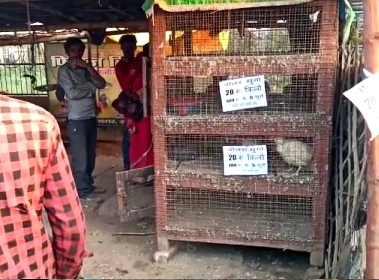 गरीबों के लिए कोरोना बना वरदान, BPL राशन कार्ड से मुर्गा फ्री