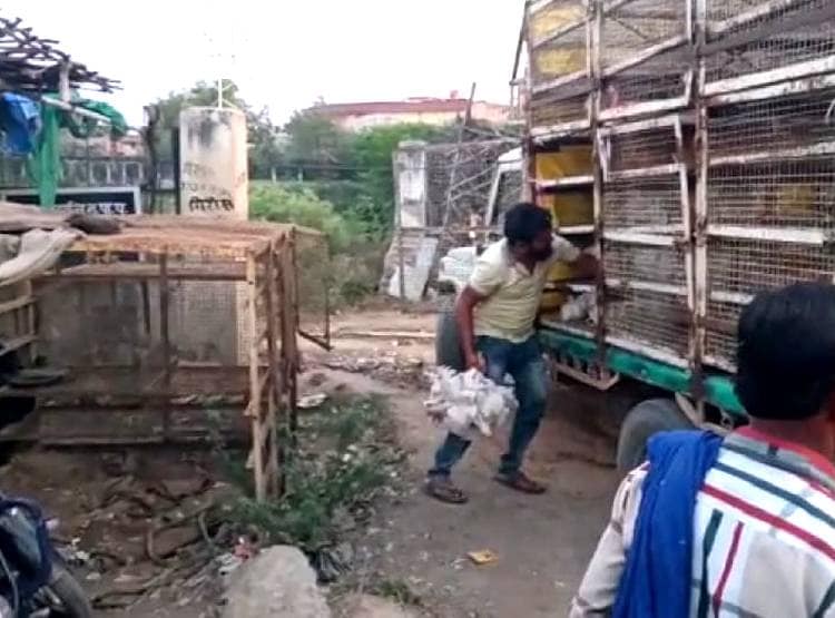 गरीबों के लिए कोरोना बना वरदान, BPL राशन कार्ड से मुर्गा फ्री