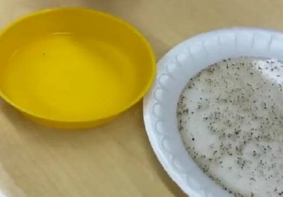 कोरोना वायरस: हाथ धोना कितना जरूरी, इस वायरल वीडियो से समझिए