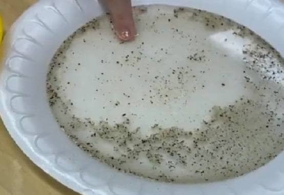 कोरोना वायरस: हाथ धोना कितना जरूरी, इस वायरल वीडियो से समझिए