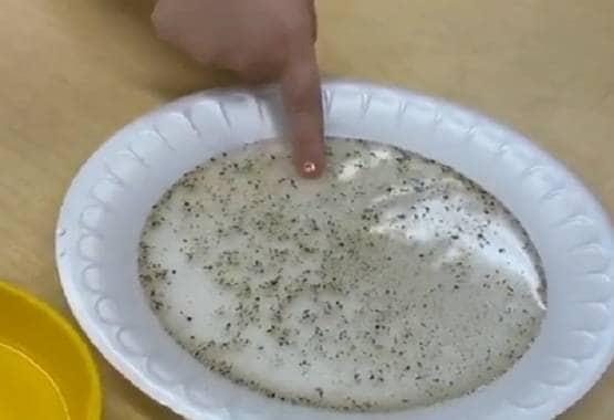 कोरोना वायरस: हाथ धोना कितना जरूरी, इस वायरल वीडियो से समझिए