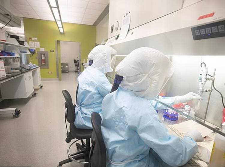 कोरोना वायरस का असली चेहरा पहली बार आया सामने