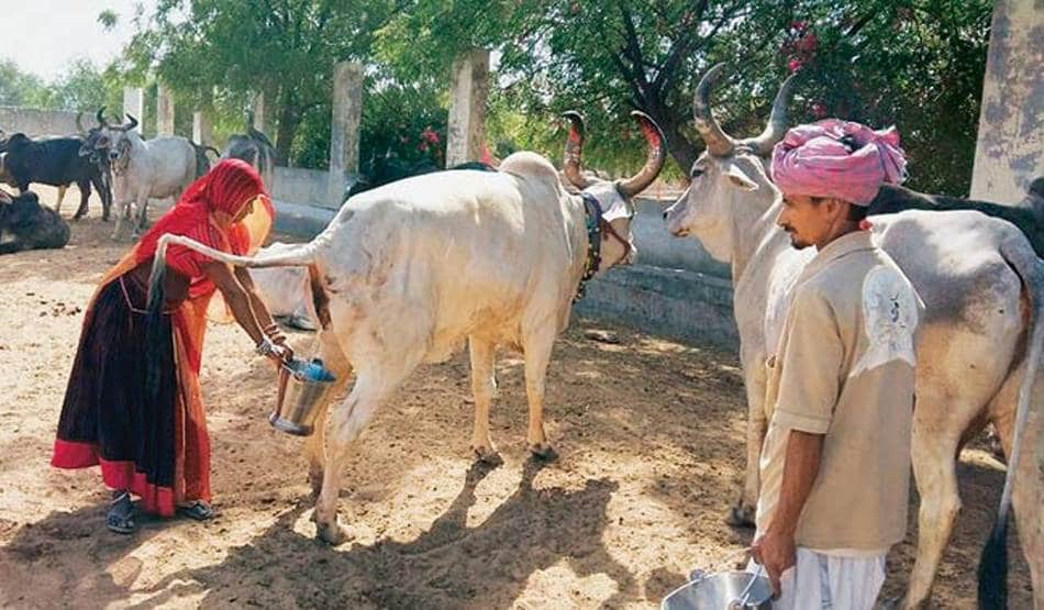 कोरोना: पुलिस वाले को गोमूत्र पिलाना बीजेपी नेता को पड़ा भारी, हुई जेल