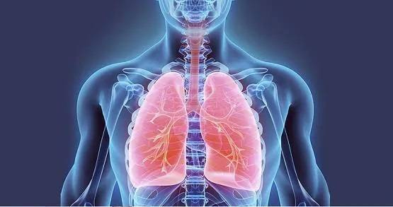 कोरोना लॉकडाउन: मुंबई समेत 4 शहर बंद, जानिए क्या चीजें खुली रहेंगी