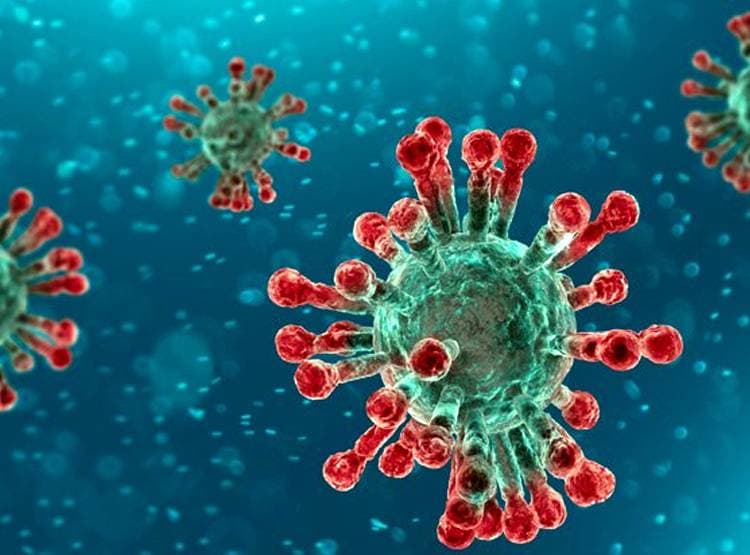 कोरोना को दिल्ली के कारोबारी ने दी मात, बताया आइसोलेशन में कैसे बीते दिन