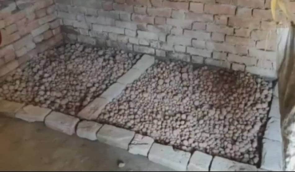 खुदाई के बाद बचे आलू बीनकर लोग भर रहे पेट, अन्न का एक दाना नहीं