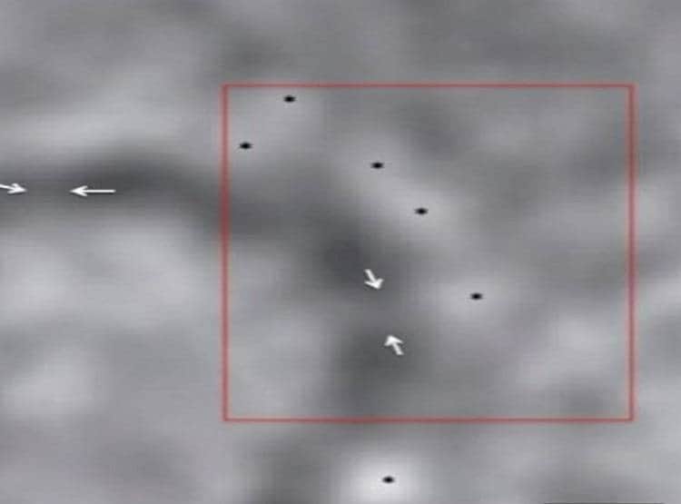 भारत के वैज्ञानिकों ने की कोरोना वायरस की पहचान, तस्वीर जारी