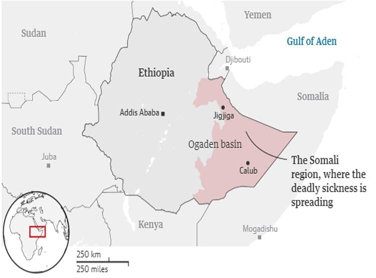 कोरोना के बाद फैली रहस्यमयी बीमारी, मुंह-नाक से आता है खून