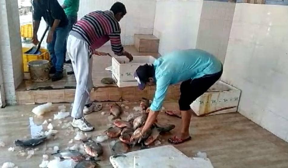 कोरोना के डर से लाखों रुपये की मछलियों को मिट्टी में दफनाया
