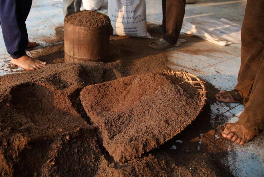 दुनिया में फैला कोरोना, चमगादड़ की गुफा में जा रहे इस देश के लोग