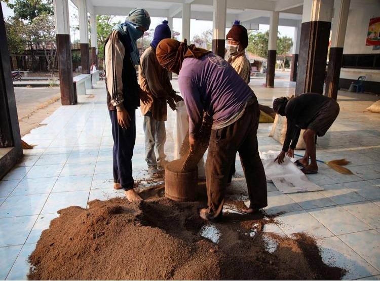 दुनिया में फैला कोरोना, चमगादड़ की गुफा में जा रहे इस देश के लोग