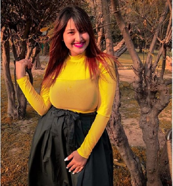 क्वारनटीन में कुछ नया कर रहे ये टॉप टिक टॉक स्टार्स, करें फॉलो