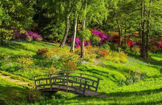 नंबर-1 टूरिस्ट डेस्टिनेशन बना भारत का ये शहर, जानें क्या है खासियत