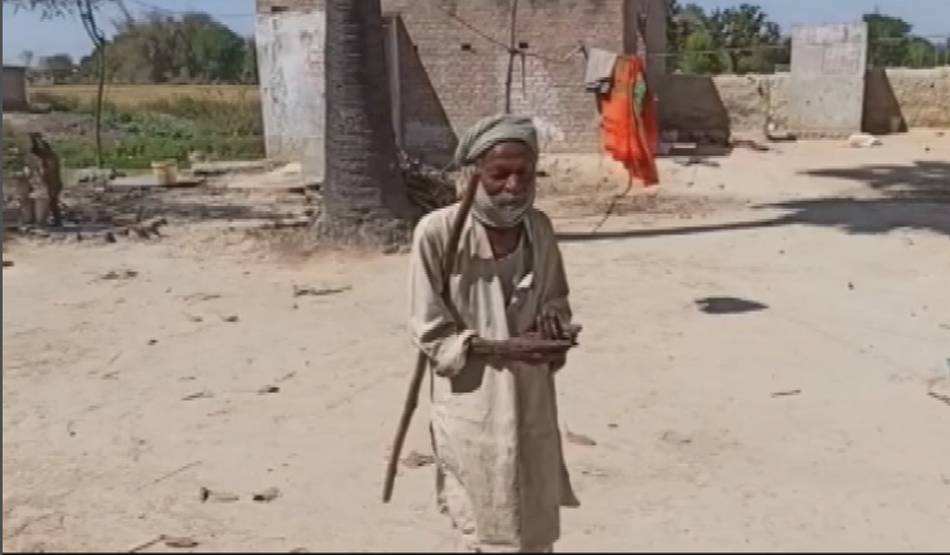 खुदाई के बाद बचे आलू बीनकर लोग भर रहे पेट, अन्न का एक दाना नहीं