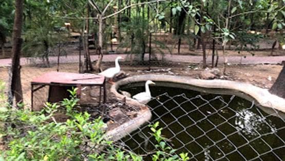 जयपुर के लग्जरी रिजॉर्ट में कांग्रेस के विधायक, जानिए कितना है किराया