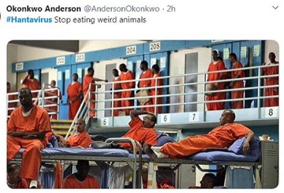 कोरोना के बाद चीन में अब फैला 'हंता', ऐसा दिखता है ये जानलेवा वायरस