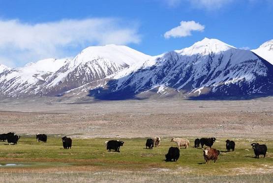 हिमालय के 13 शहरों पर है बड़ा संकट, जद में हैं चार देश