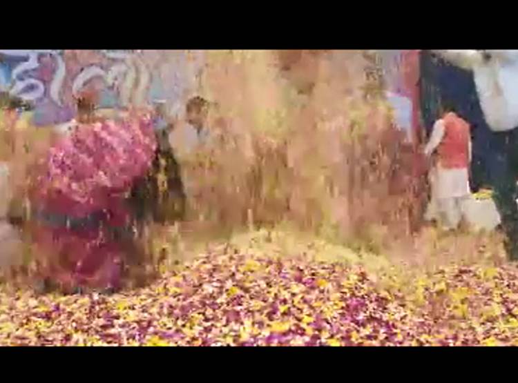 होली पर कोरोना का असर, बृज में रंगों की जगह उड़े गुलाब के फूल