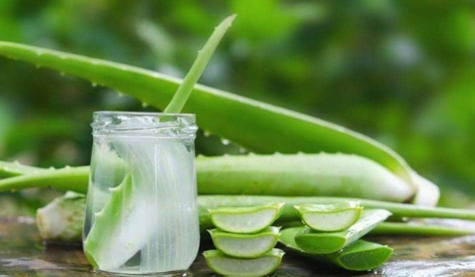 कोराना से बचने के लिए घर में ऐसे बनाएं सैनिटाइजर, खर्च बस 50 रु