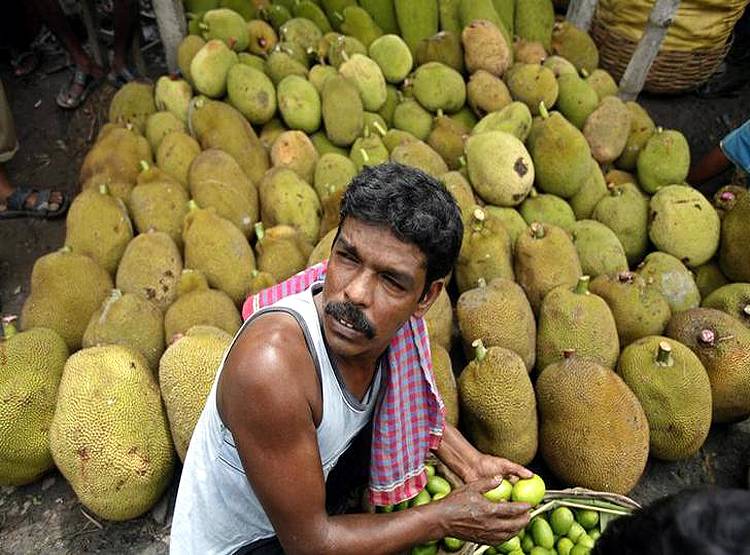 कोरोना का खौफः मुर्गे से महंगा बिक रहा कटहल, लोग खा रहे बिरयानी