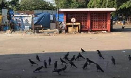 PHOTOS: कोरोना के खिलाफ जंग, शहर-शहर जनता कर्फ्यू का असर