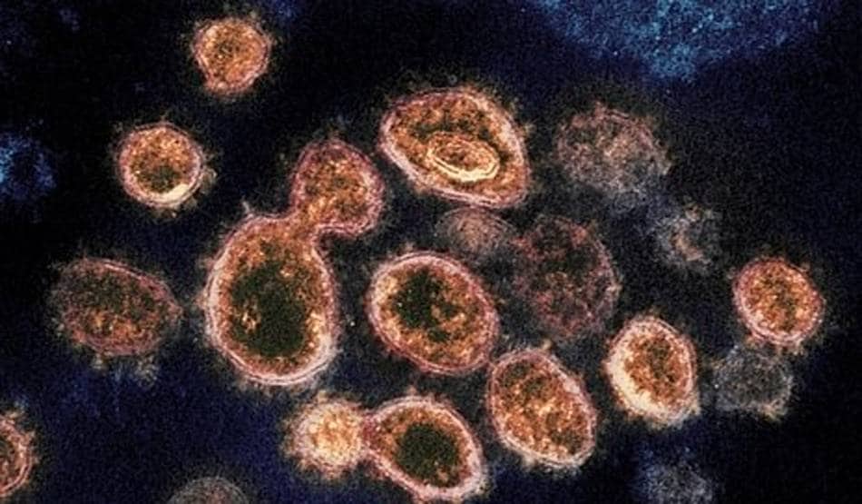 भारत में टेस्टिंग नेटवर्क तैयार, कोरोना की जांच ऐसे होगी आसान