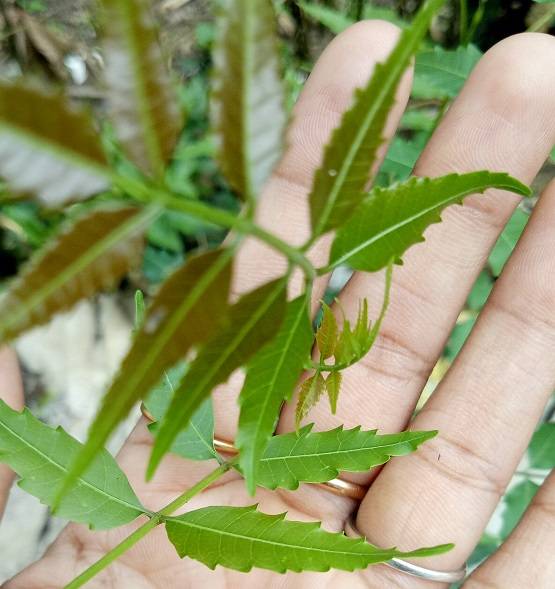 हिंदू कैलेंडर का नया साल, पहले महीने भूल से भी न करें ये काम