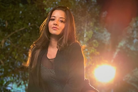 पति संग पूल में मोनालिसा का रोमांटिक अंदाज, तस्वीरें वायरल