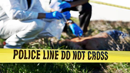 बिहार में खेली गई खून की होली, त्योहार के बीच 20 लोगों की हत्या