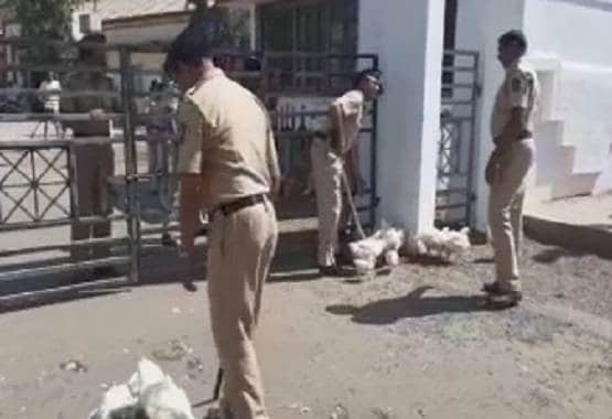 मिट्टी के भाव बिक रहा है चिकन, क्या इसे खाने से फैलता है कोरोना?