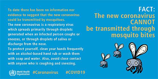 कोरोना वायरस को लेकर हैं ये 14 धारणाएं, WHO ने बताई इनकी सच्चाई