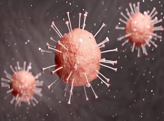 क्या इस जानवर से पूरी दुनिया में फैला कोरोना वायरस? विलुप्ति के कगार पर