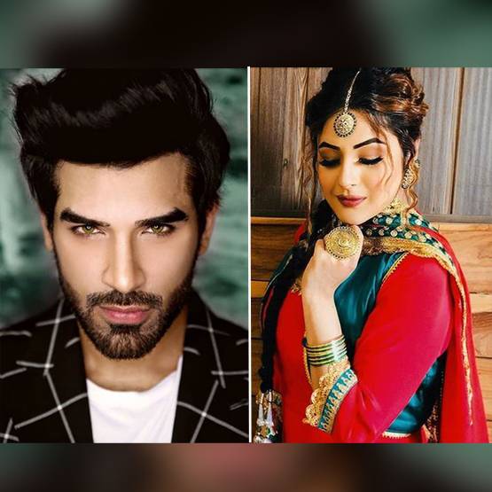 कंटेस्टेंट ने की शहनाज की बेइज्जती, कहा- कौन सी हूर की परी है वो?