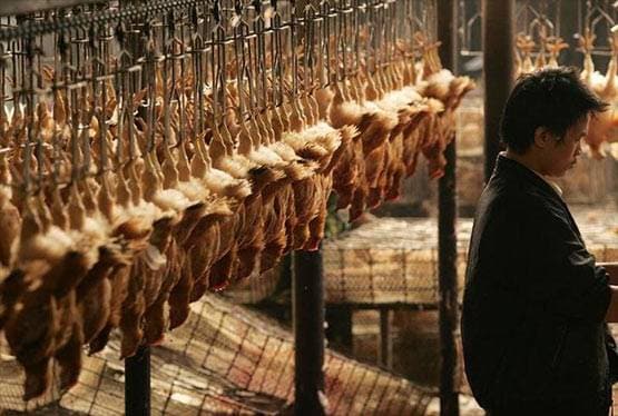 चीन के बदनाम बाजार की पहली कोरोना मरीज, महिला से ऐसे दुनिया में फैला वायरस