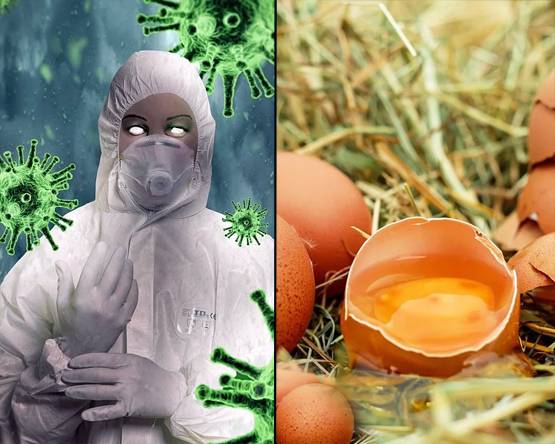 Corona virus: इम्यूनिटी बढ़ाने के लिए शरीर को चाहिए ये 3 विटामिन