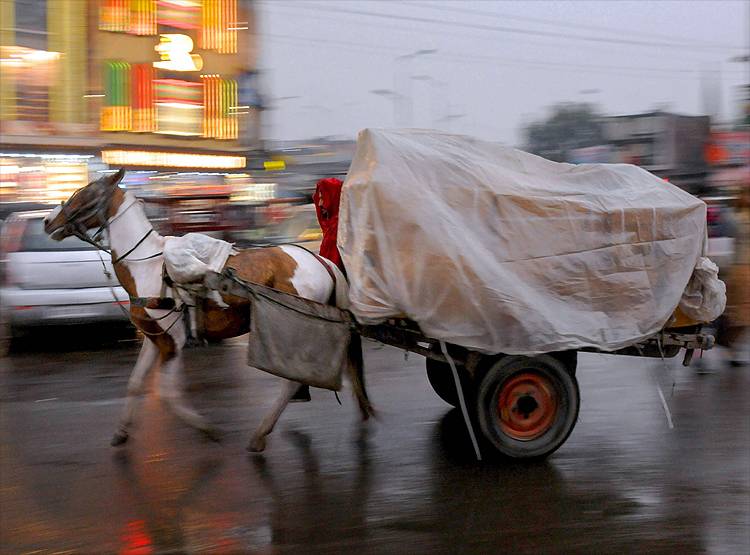 क्या उत्तर भारत में हुई बारिश बढ़ाएगी कोरोना का खतरा?